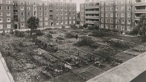 Black and white photo of gardens and flats