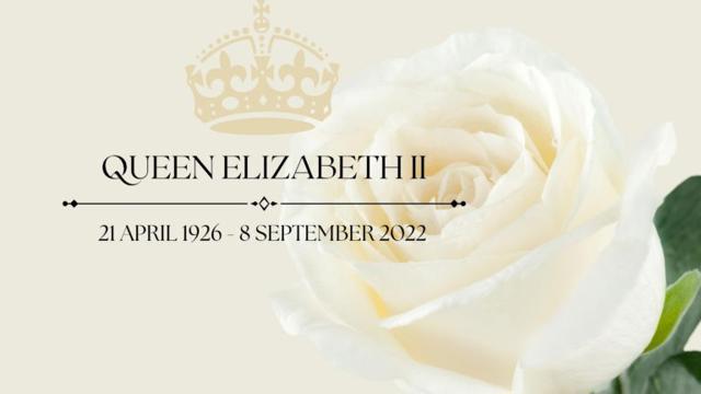 Beige background with white flower, beige crown and black text